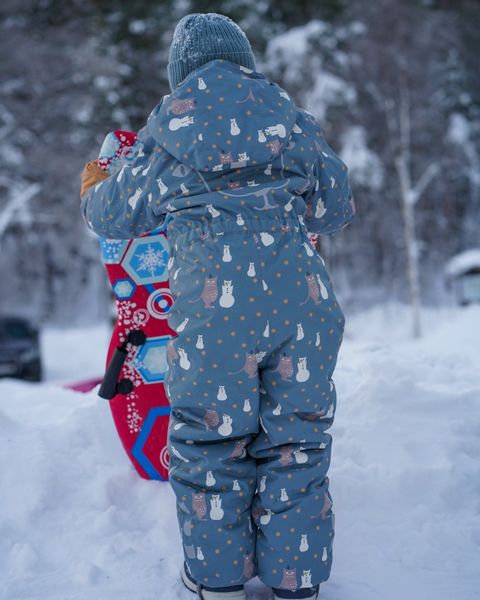 Kattnakken , parkdress snø hav