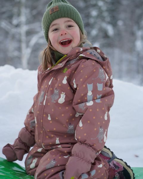 Kattnakken , parkdress snø sandeltre